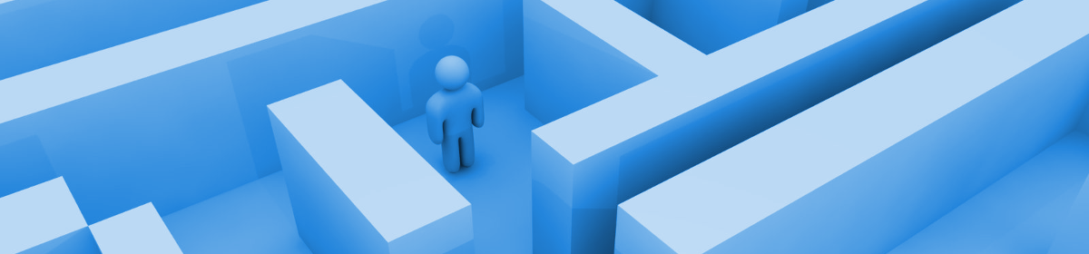 Training for Interdisciplinary and Transdisciplinary researchers